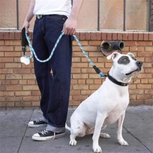 Laisse pour Chien en Corde Résistante – Poignée Confort & Bande Réfléchissante